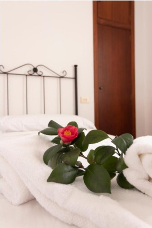 Hostal San Cristobal - Pontedeume Eksteriør bilde
